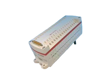 VM101603981