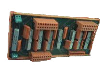 6561810001