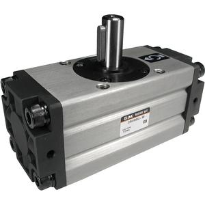 CDRA1BS100190