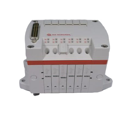 VM1006001US