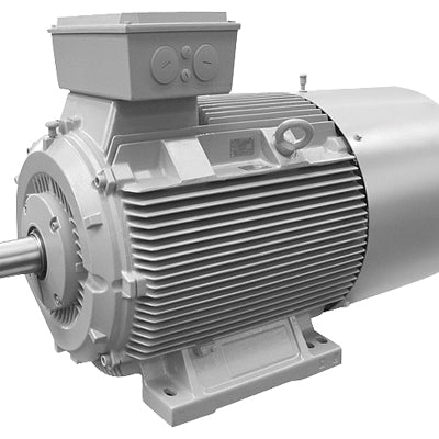 1LA6 310-2AA10